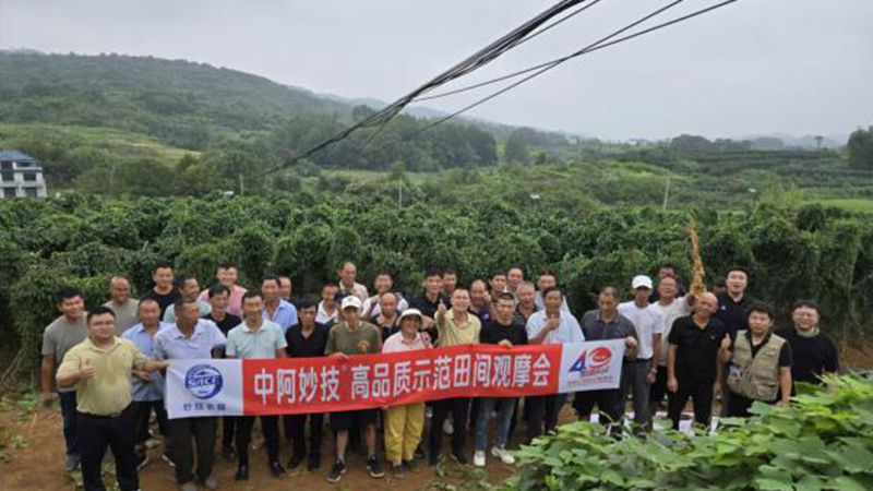 江西惠多利舉辦撒可富山藥觀摩會(huì)